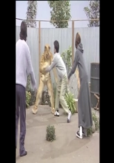 Your Dog Is Loose
