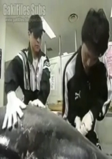 Urgent Plan - Men's Cooking #1 - Tuna Feast