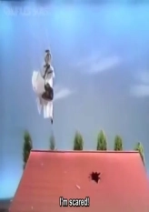 Merry Poppins