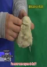 Absolutely Tasty Tempura